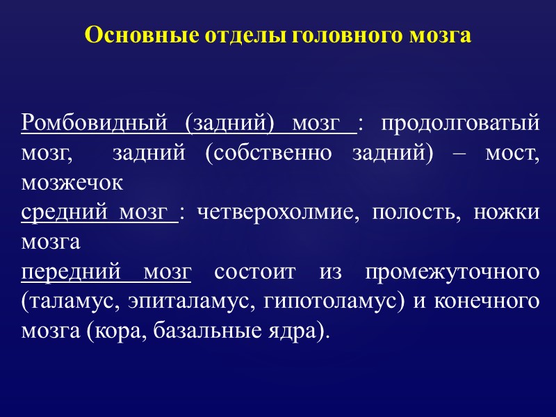 Основные отделы головного мозга Ромбовидный (задний) мозг : продолговатый мозг,  задний (собственно задний)
